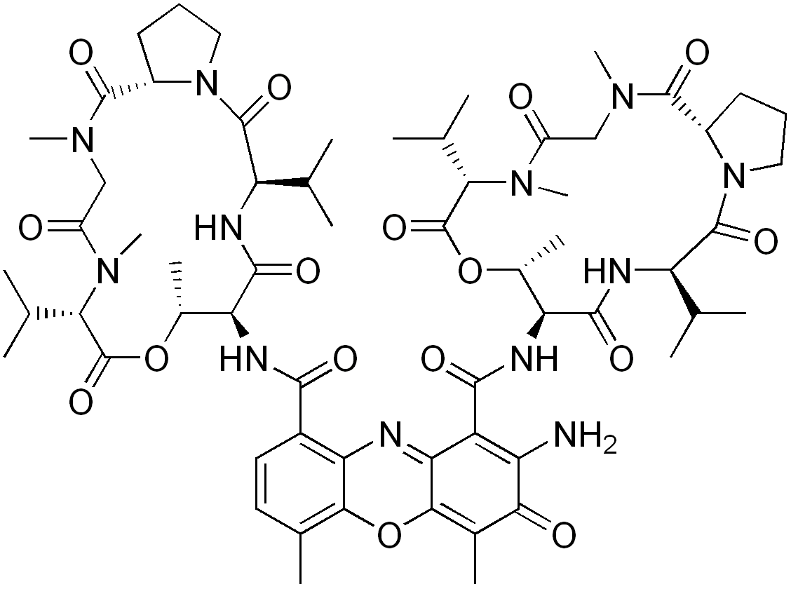 Dactinomycin