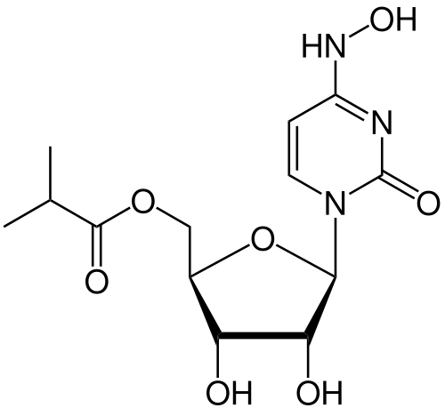 Molnupiravir